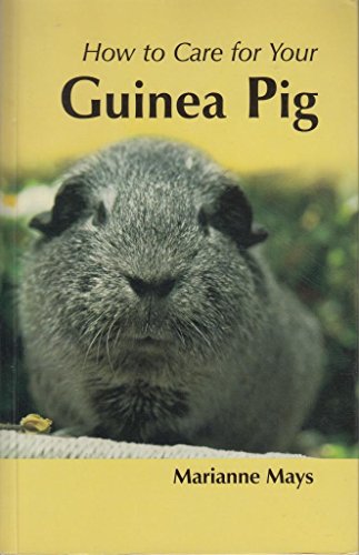 Imagen de archivo de How To Care For Your Guinea Pig a la venta por Goldstone Books