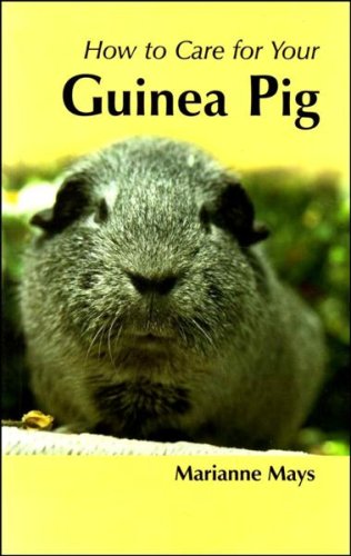 Stock image for How To Care For Your Guinea Pig for sale by Goldstone Books