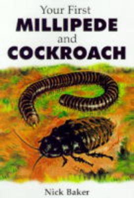 Beispielbild fr Your First Millipede and Cockroach zum Verkauf von WorldofBooks