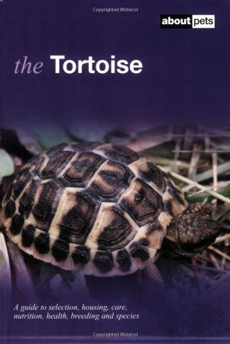 Beispielbild fr The Tortoise zum Verkauf von WorldofBooks