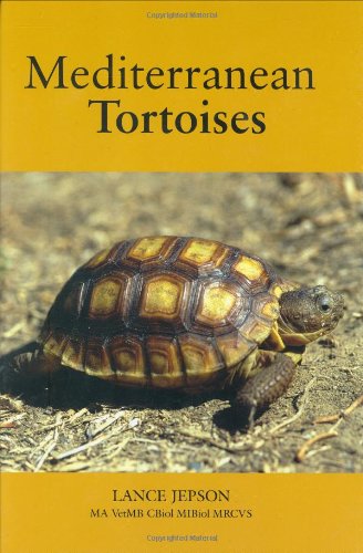 9781852792299: Mediterranean Tortoises