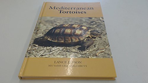 Stock image for Mediterranean Tortoises for sale by WorldofBooks