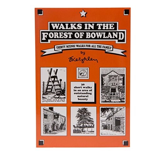 Beispielbild fr Walks in the Forest of Bowland: 30 Short Walks in an Area of Outstanding Natural Beauty: 30 Scenic Walks for All the Family zum Verkauf von WorldofBooks