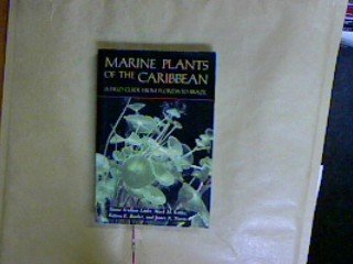 9781853100840: Marine Plants of the Caribbean: A field Guide From Florida To Brazil