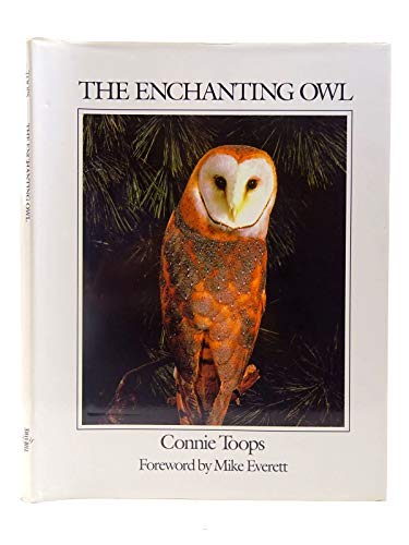 Stock image for The Enchanting Owl for sale by WorldofBooks