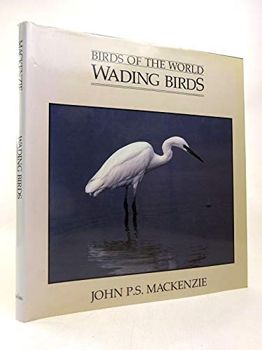 Beispielbild fr Wading Birds zum Verkauf von WorldofBooks