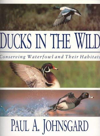 Beispielbild fr Ducks in the Wild zum Verkauf von WorldofBooks