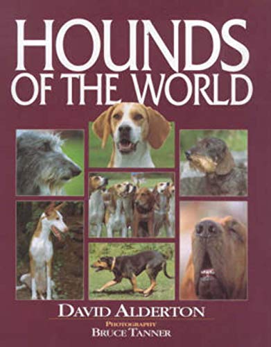 Beispielbild fr HOUNDS OF THE WORLD: AN ILLUSTRATED GUIDE. By David Alderton. zum Verkauf von Coch-y-Bonddu Books Ltd