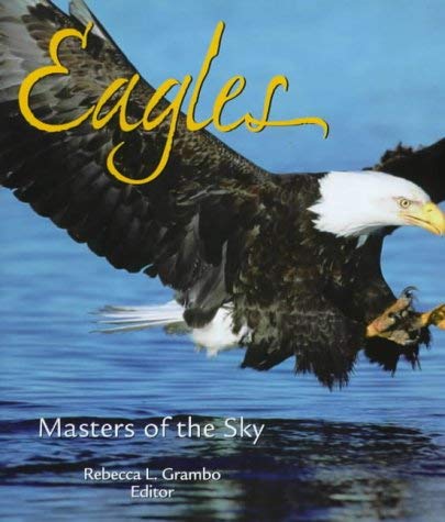 Stock image for Eagles: Masters of the Sky for sale by WorldofBooks