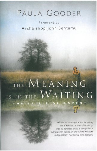 Imagen de archivo de The Meaning Is in the Waiting a la venta por Better World Books