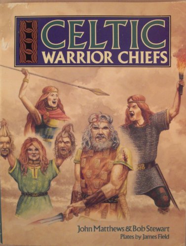 Stock image for Celtic Warrior Chiefs (Heroes & Warriors) for sale by Wonder Book