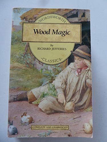 Beispielbild fr Wood Magic. Wordsworth Classics. Paperback zum Verkauf von Deichkieker Bcherkiste
