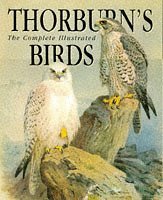 Beispielbild fr The Complete Illustrated Thorburn's Birds zum Verkauf von WorldofBooks