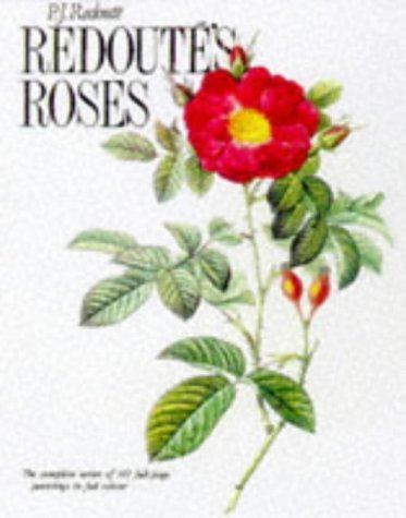 Beispielbild fr Redoute Roses zum Verkauf von WorldofBooks