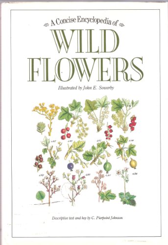 Stock image for A Concise Encyclopedia of Wild Flowers for sale by WorldofBooks