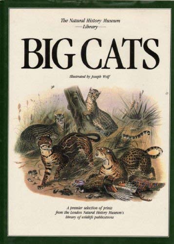 Beispielbild fr Big Cats (Natural History Museum Collection S.) zum Verkauf von WorldofBooks