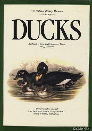 Beispielbild fr Ducks (Natural History Museum Collection S.) zum Verkauf von WorldofBooks