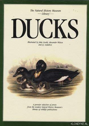 9781853269646: Ducks (Natural History Museum Collection S.)