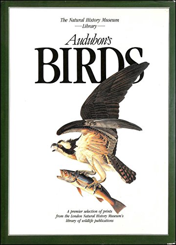 Beispielbild fr Audubon's Birds: A Selection of the Magnificent Illustrations by John James Audubon First Published 1827-1838 (The Natural History Museum Library) zum Verkauf von MusicMagpie