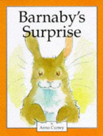 Beispielbild fr Barnaby's Surprise zum Verkauf von WorldofBooks