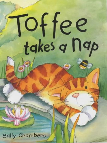 Toffee Takes a Nap (9781853406126) by Chambers, Sally