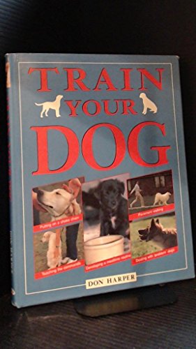 Imagen de archivo de Train Your Dog (A Quintet Book) a la venta por Reuseabook