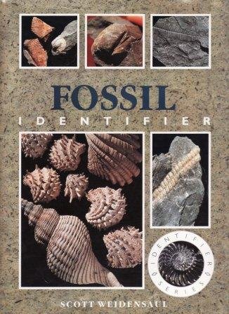 Beispielbild fr FOSSIL IDENTIFIER. zum Verkauf von WorldofBooks