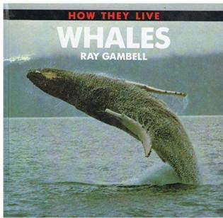 Stock image for Whales (How They Live) for sale by AwesomeBooks