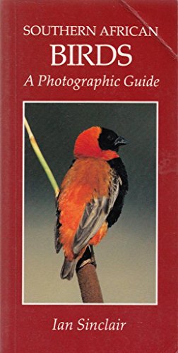 Beispielbild fr Southern African Birds: A Photographic Guide (Photographic Guides) zum Verkauf von WorldofBooks