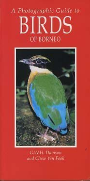 Imagen de archivo de A Photographic Guide to Birds of Borneo (Photographic Guides) a la venta por AwesomeBooks