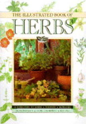 Imagen de archivo de The Illustrated Book of Herbs a la venta por ThriftBooks-Dallas