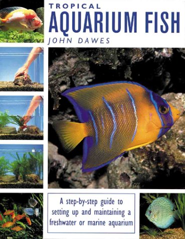 Beispielbild fr Tropical and Aquarium Fish zum Verkauf von WorldofBooks