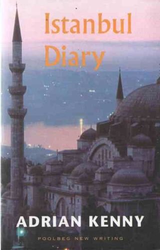 Beispielbild fr Istanbul Diary (Poolbeg new writing) zum Verkauf von AwesomeBooks