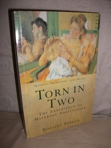 9781853818837: TORN IN TWO: THE EXPERIENCE OF