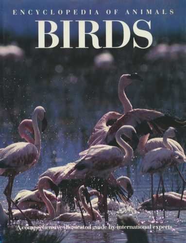 Imagen de archivo de Encyclopedia of Animals: Birds a la venta por WorldofBooks