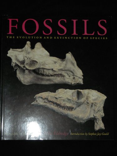 Beispielbild fr Fossils: The Evolution and Extinction of Species zum Verkauf von WorldofBooks