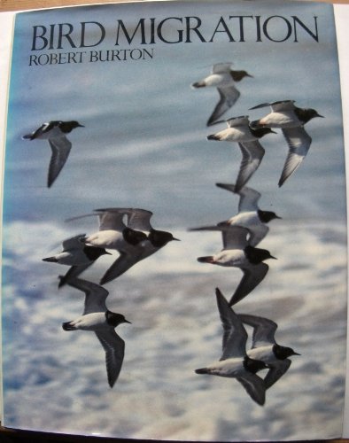 Bird Migration (9781854102058) by Robert Burton