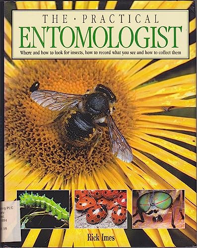 Imagen de archivo de The Practical Entomologist a la venta por WorldofBooks