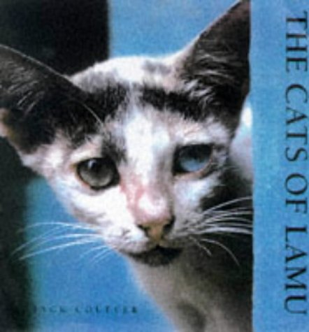 Beispielbild fr The Cats of Lamu zum Verkauf von PAPER CAVALIER US