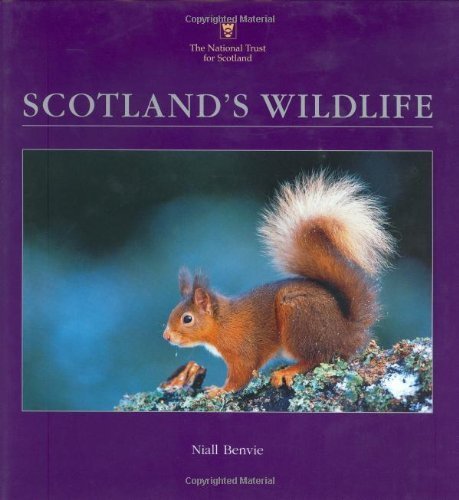 Beispielbild fr Scotland's Wildlife zum Verkauf von WorldofBooks