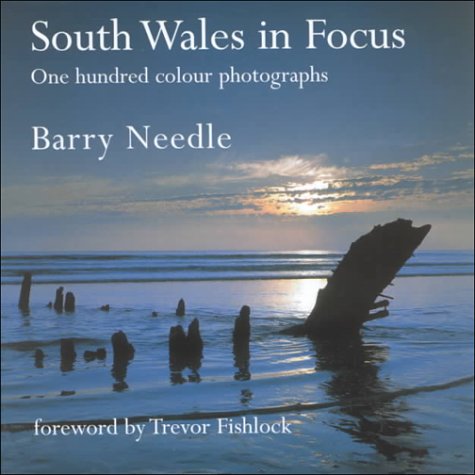 Beispielbild fr South Wales in Focus zum Verkauf von WorldofBooks