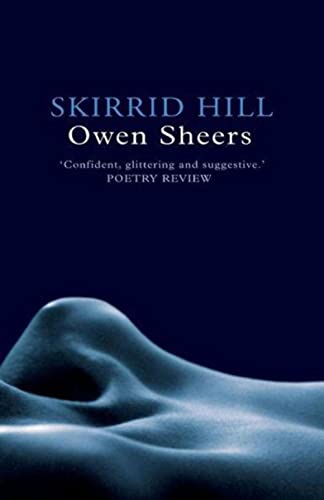 Beispielbild fr Skirrid Hill zum Verkauf von WorldofBooks