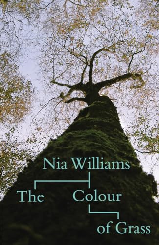 The Colour of Grass (9781854115393) by Williams, Nia
