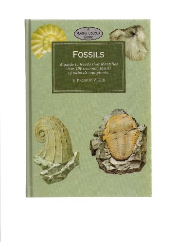 9781854228291: Fossils