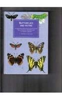 Stock image for Butterflies and Moths for sale by Better World Books