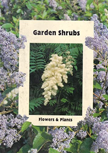 Beispielbild fr Garden Shrubs zum Verkauf von AwesomeBooks