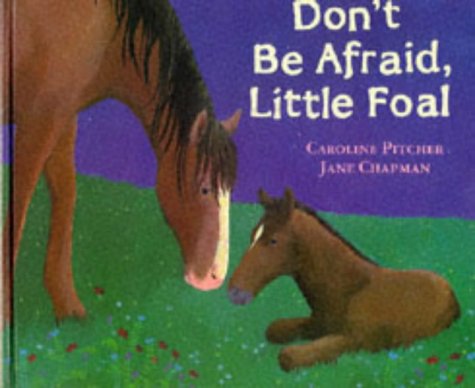 Stock image for Don't Be Afraid, Little Foal for sale by MusicMagpie
