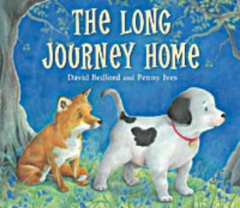 9781854307477: The Long Journey Home