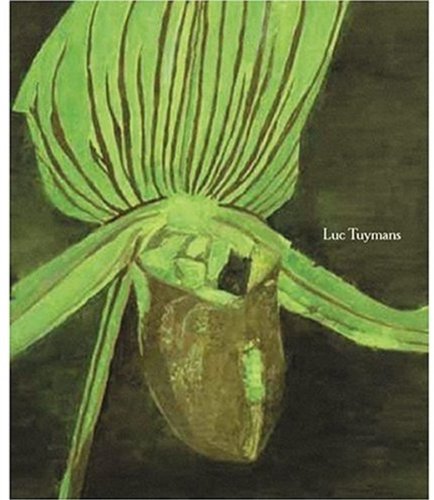 Imagen de archivo de Luc Tuymans a la venta por R. Rivers Books