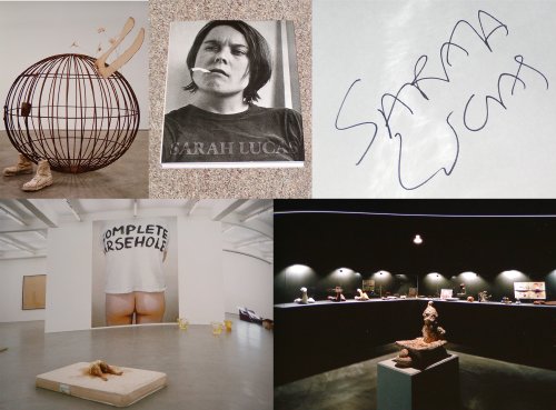 Beispielbild fr Sarah Lucas. Exhibitions and catalogue raisonn 1989 - 2005. Ausstellungskatalog. zum Verkauf von Antiquariat & Verlag Jenior